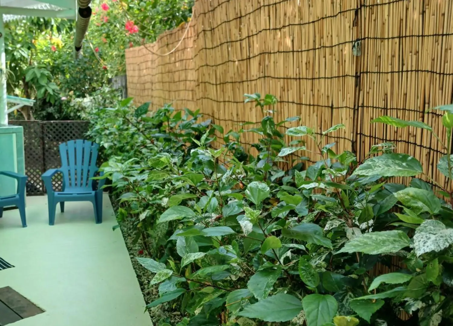 Le Papayer Apartment Afareaitu Homestay